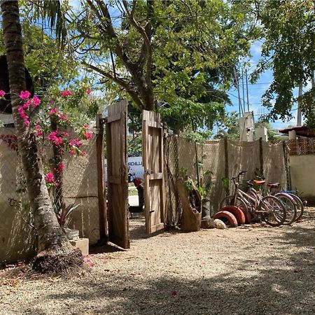 Hotel Selva Bacalar - Free Bike Rental Ngoại thất bức ảnh
