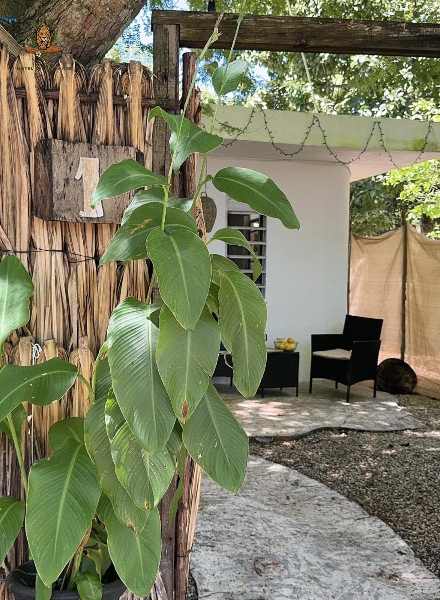 Hotel Selva Bacalar - Free Bike Rental Ngoại thất bức ảnh