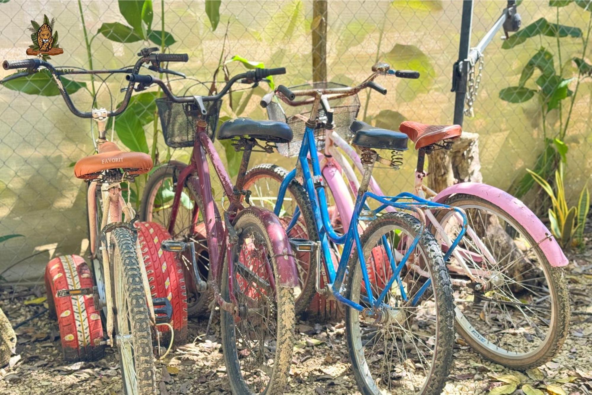 Hotel Selva Bacalar - Free Bike Rental Ngoại thất bức ảnh