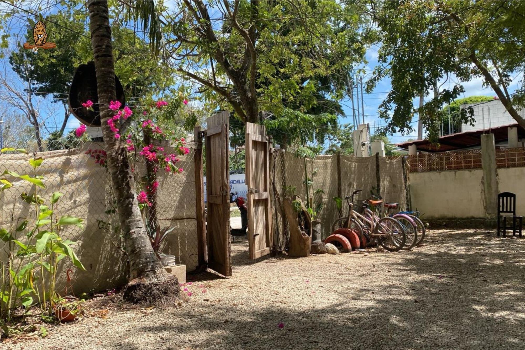 Hotel Selva Bacalar - Free Bike Rental Ngoại thất bức ảnh